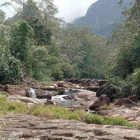 Dilani Adamspeak Riverstay Nallathanniya Bagian luar foto