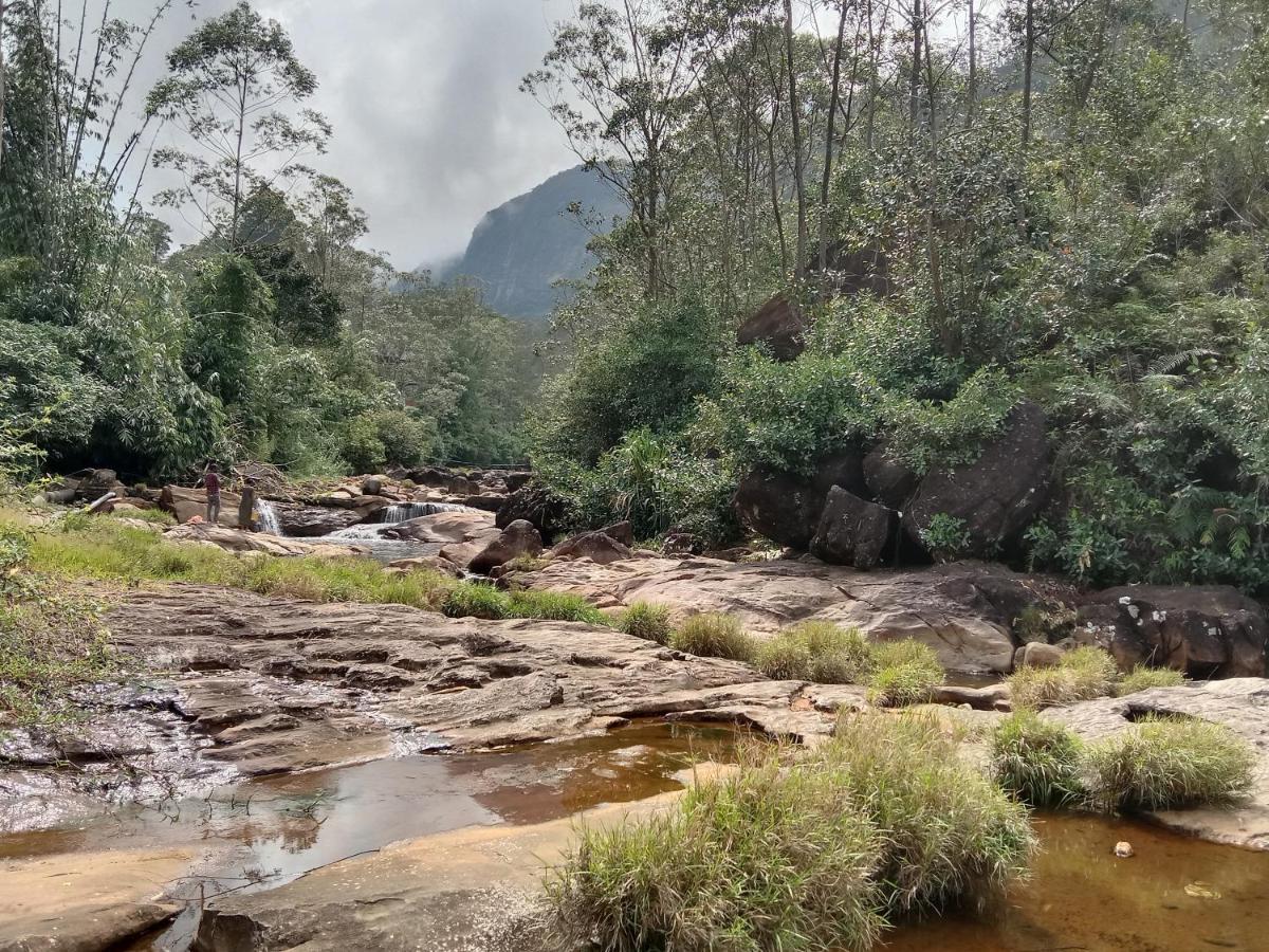 Dilani Adamspeak Riverstay Nallathanniya Bagian luar foto