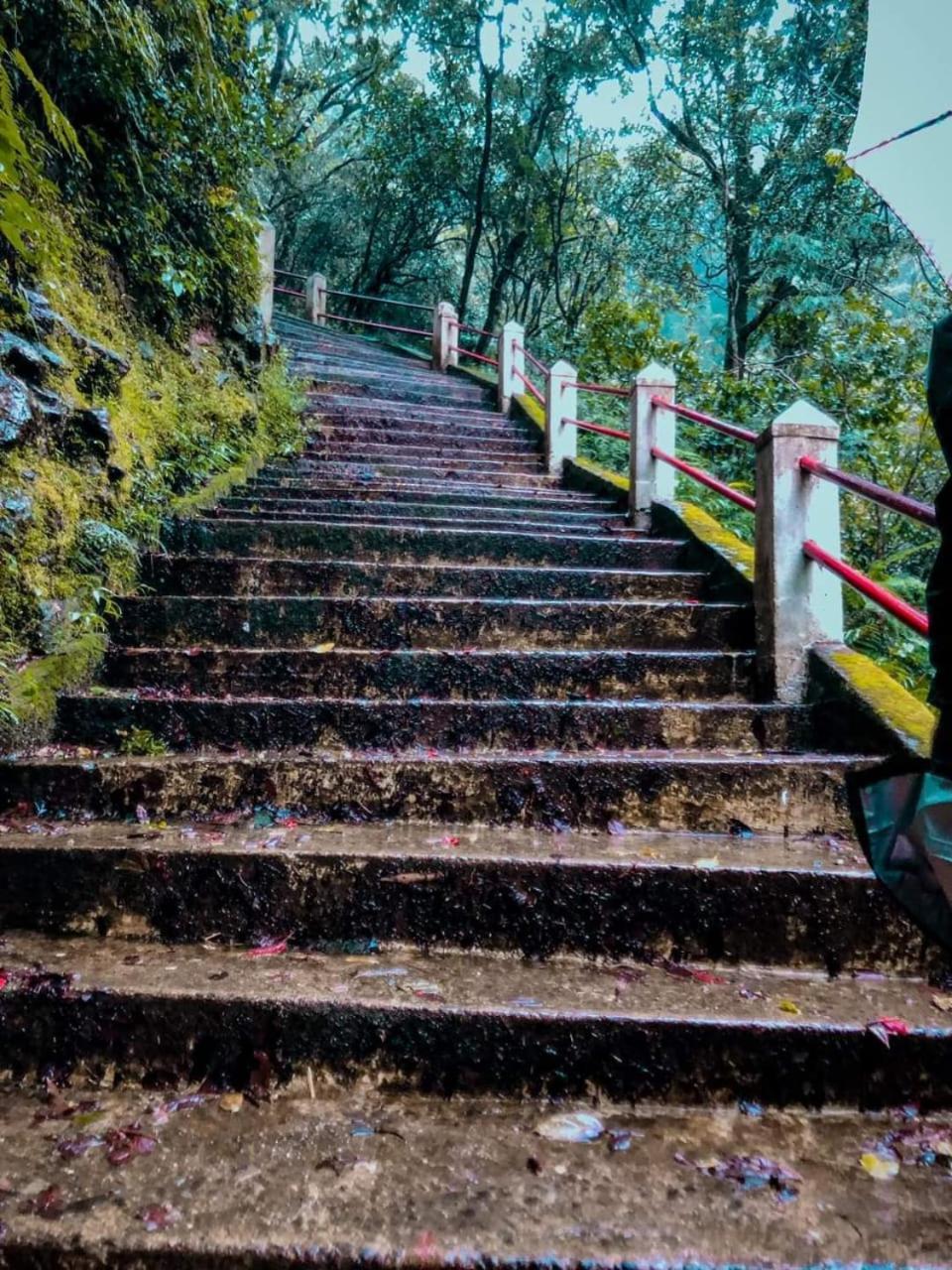 Dilani Adamspeak Riverstay Nallathanniya Bagian luar foto