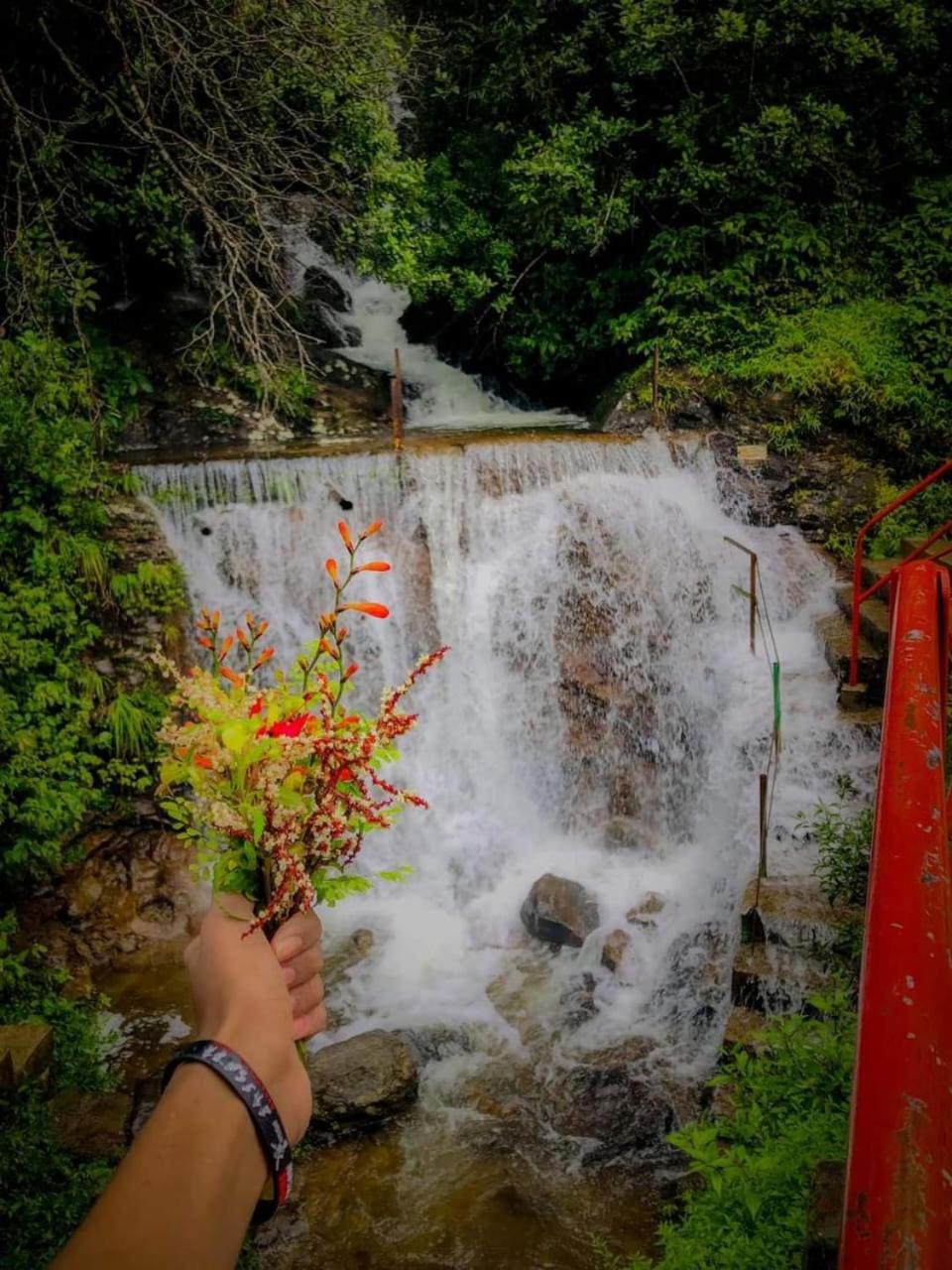 Dilani Adamspeak Riverstay Nallathanniya Bagian luar foto