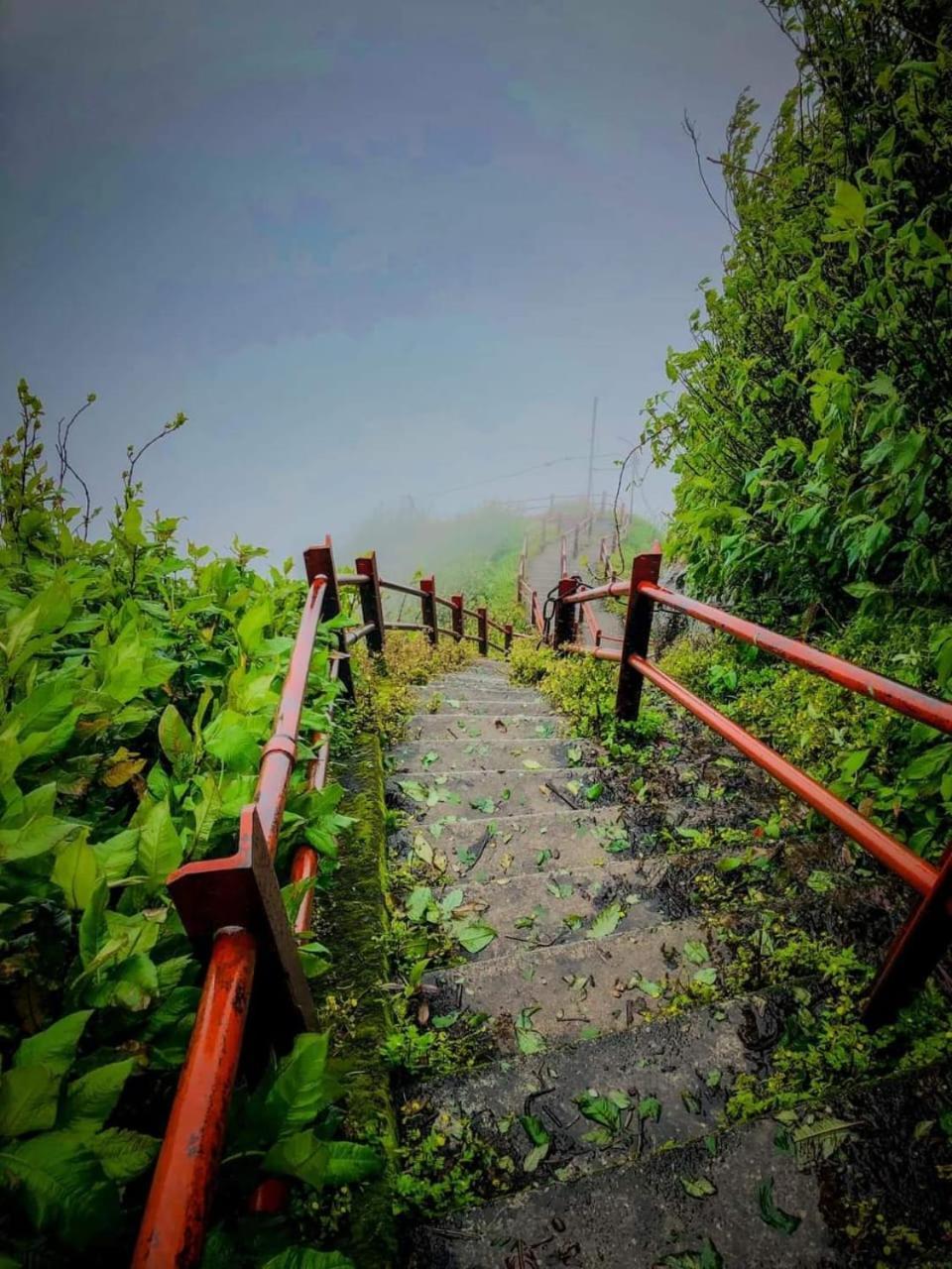 Dilani Adamspeak Riverstay Nallathanniya Bagian luar foto
