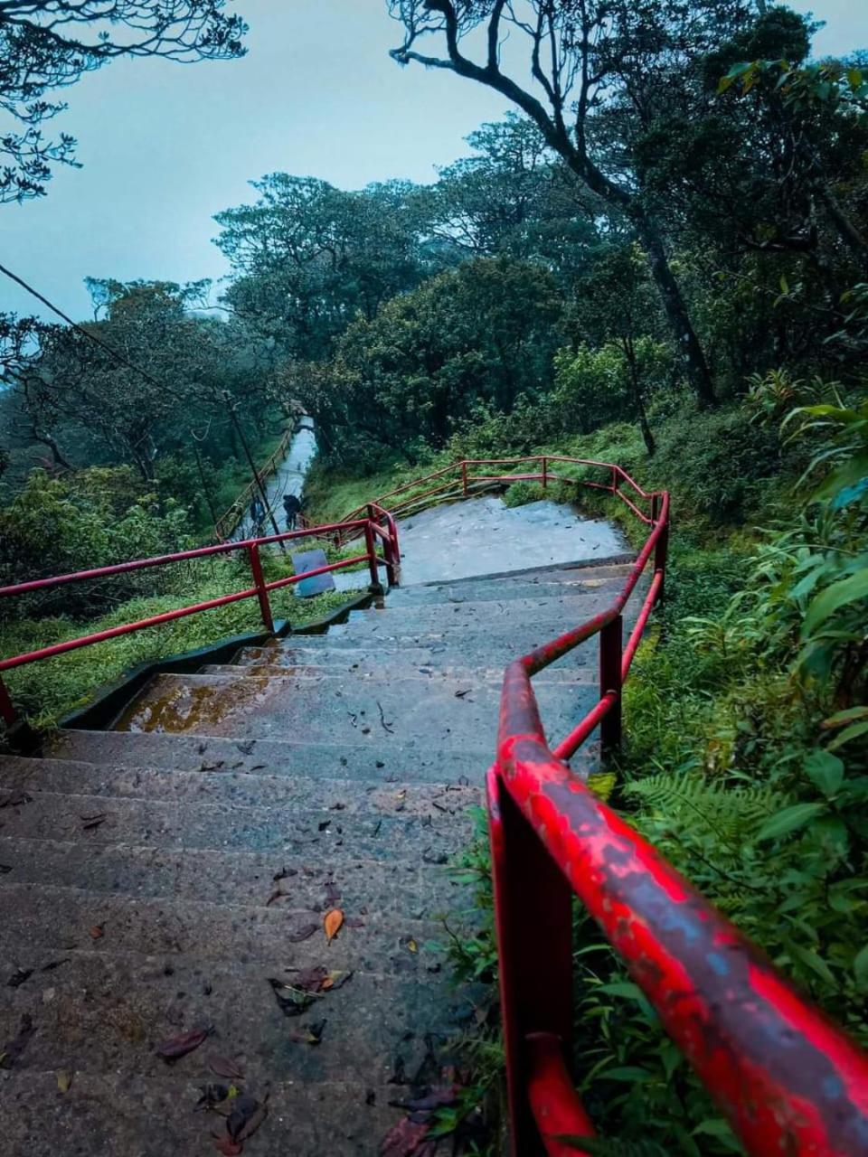 Dilani Adamspeak Riverstay Nallathanniya Bagian luar foto