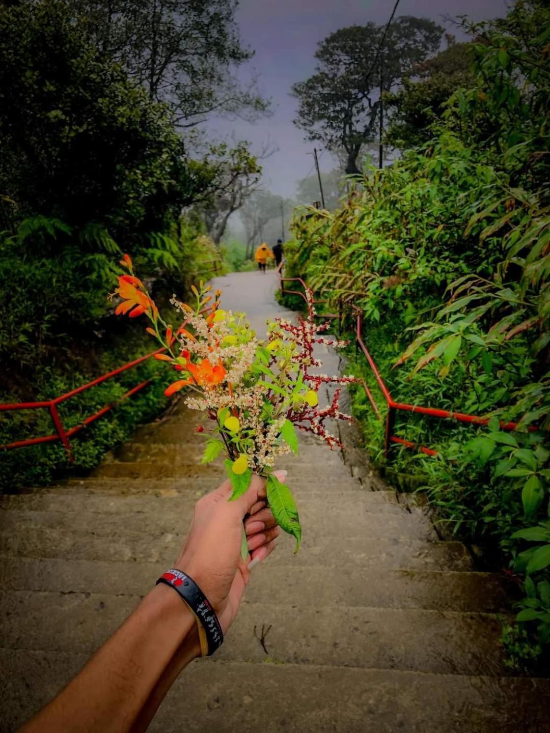 Dilani Adamspeak Riverstay Nallathanniya Bagian luar foto