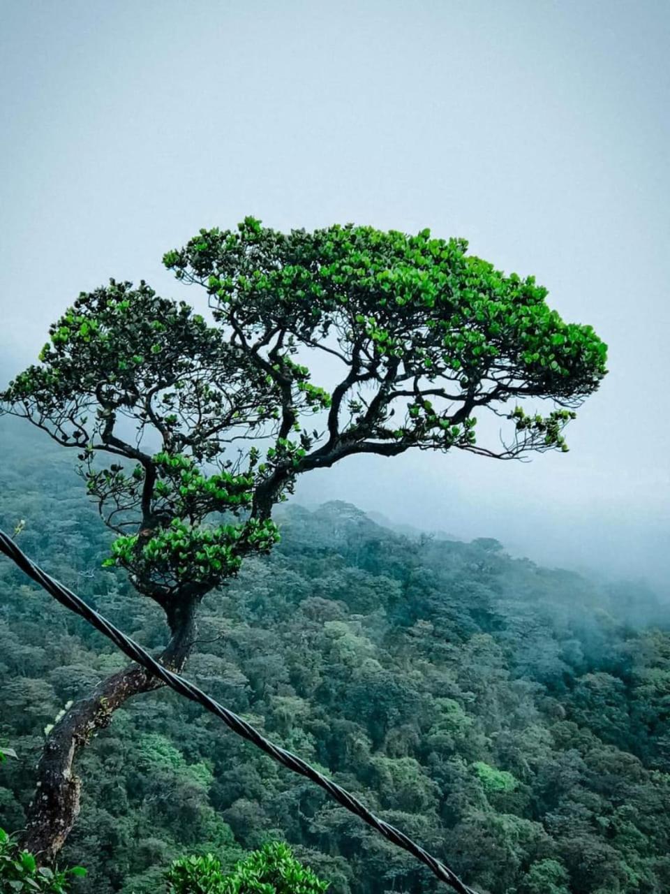 Dilani Adamspeak Riverstay Nallathanniya Bagian luar foto