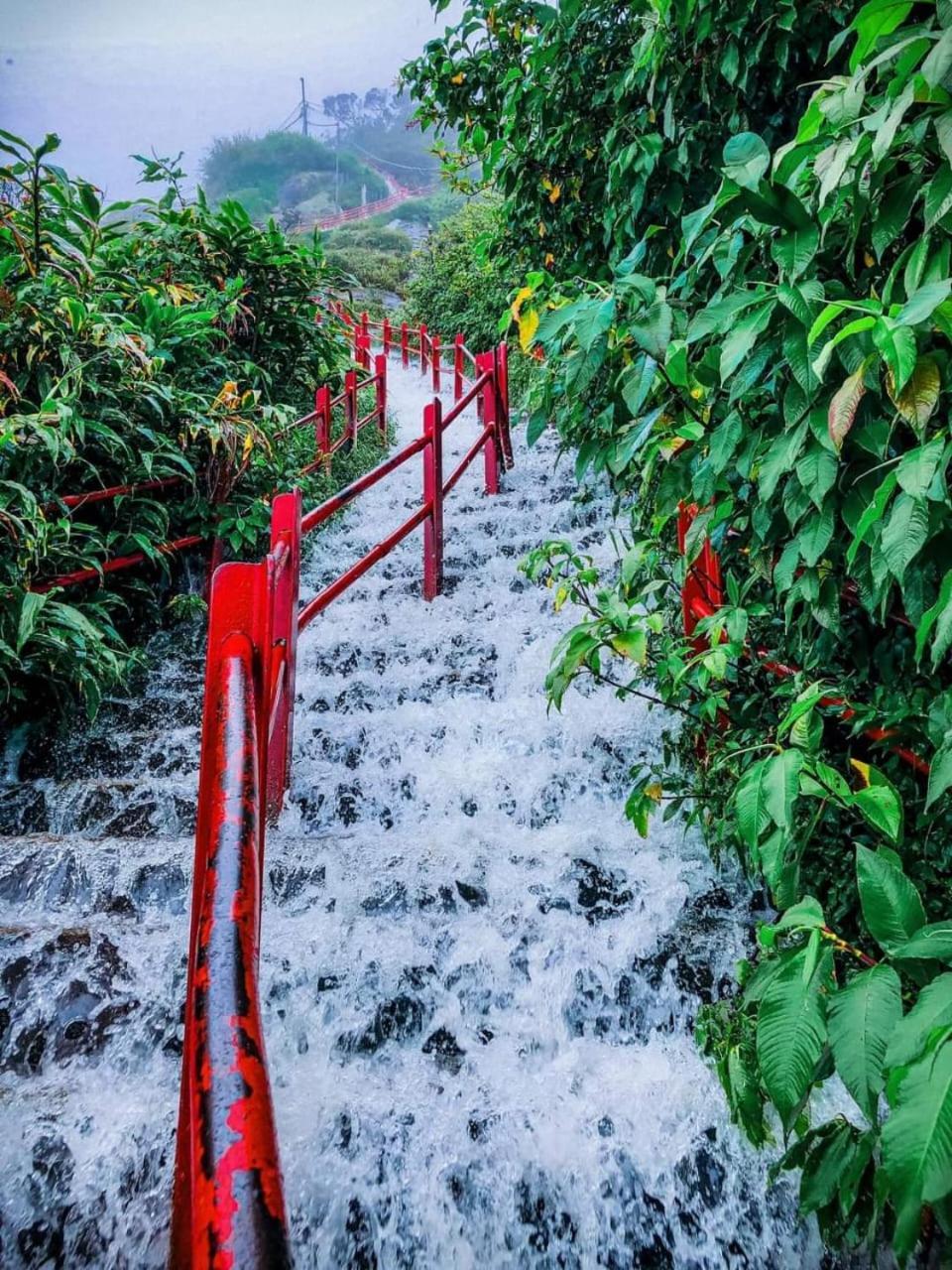 Dilani Adamspeak Riverstay Nallathanniya Bagian luar foto
